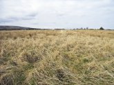 Plots of land for sale in Scotland