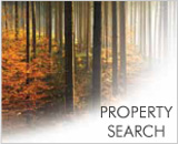 UK woodland Property Research