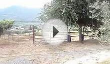 Equestrian Property For Sale And Rent Near Mijas-Alhaurin
