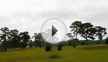 Land For Sale: 5280 E Lighthorse Circle Inverness, Florida
